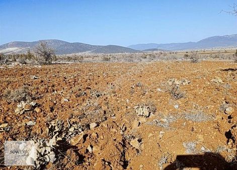 Denizli Çal Bahadınlar 127 Ada 355 Par 512 M2 Bağ Köye Yakın