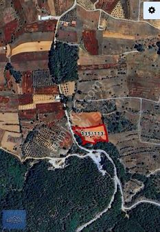 Bodrum Mumcular Yakını Çiftlik 7.450m2 Bağ Evi İçin Uygun