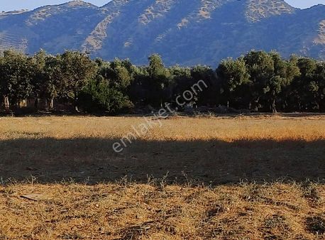 Hürriyet Mahallesinde Fırsat Arsa