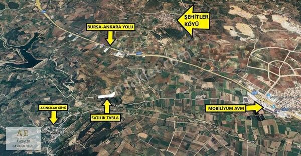 Aydınlık Emlak'tan Akıncılarda 436 M² Hisseli Hobi Bahçesi