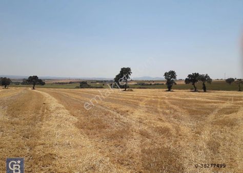 Edirne, Keşan'da 30.000 M2 (30 Dönüm) Satılık Tarla