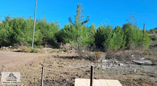 Arkadaş İnşaat Emlak Kumluca Olimpos Satılık 2650m2 Tarla Sera