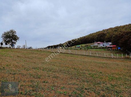 Civan Emlak'tansatılıktarla #tektapu#atakum'da Sonfiyat#son7gün