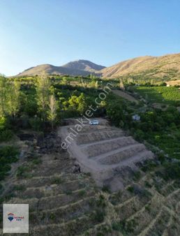 Remax Dem'den Üzümlü'de Satılık Bağ Bahçe