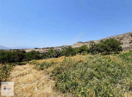 Remax Dem'den Üzümlü Çadırtepede Satılık Sulu Üzüm Bağı