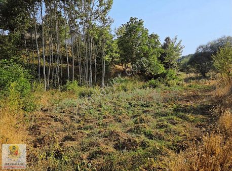 415 M2 Köy İçi %40 İmarlı, Köyde Arsa İsteyenler Kaçırmasın!!!!!