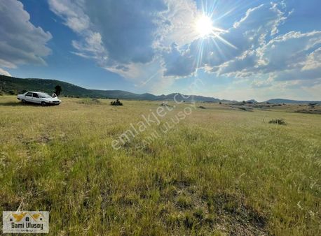 Yatırımlık 1.900 M² Müstakil Halı Gibi Arazi!