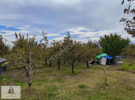 Marmaracıkta 240 M2 Satılık Hobi Bahçesi