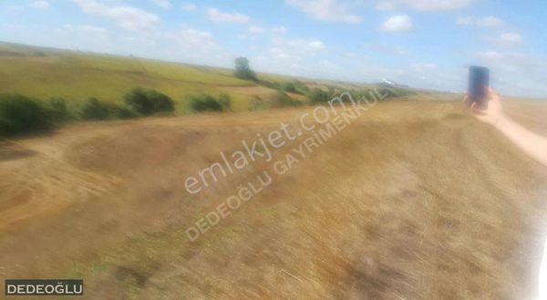 Dedeoğlu Gayrimenkulden Satılık