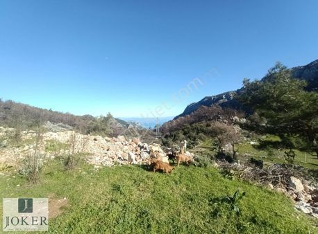 Joker: Bayır Çiftlik Koyu'na 3 Km Deniz Manzaralı Yol Cepheli