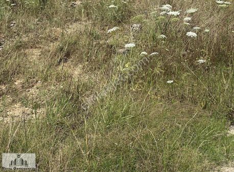 Denizyaka Da Satılık Tarla