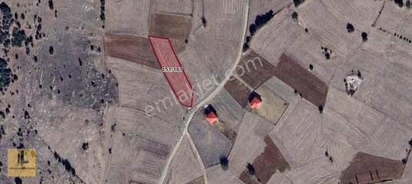 Kozan Gayrimenkulden Tapanda 2160 M2 Tek Tapulu Arsa