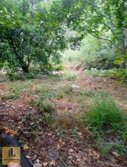 Kozan Gayrimenkulden Düzağaçta Bir Dönüm Yol Kenarı Arsa