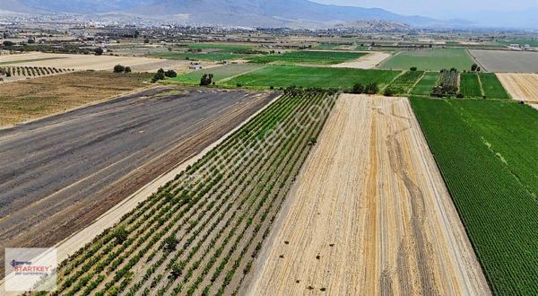 Aliağa Helvacı'da 8280 M2 Satılık Tarla