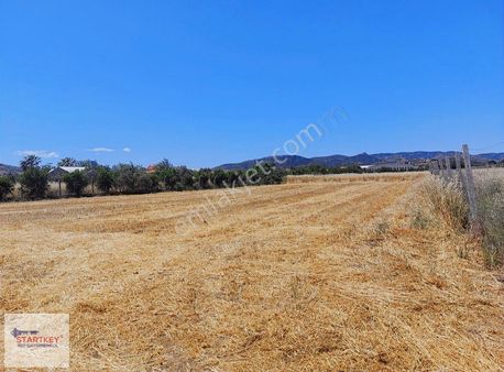 Foça Bağarası'nda Yatırımlık Tarla