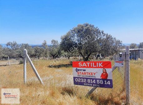 Foça Ilıpınar'da Satılık Tarla