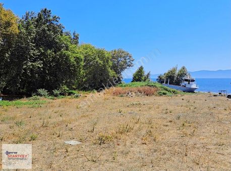 Marmara Adası Topağaç Köyü Anayola Yakın Yatırımlık Tarla