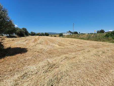 Remax Arma'dan Menderes Görece Bölgesınde Satılık Arazı