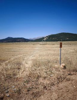Tok Emlaktan Mahmutbey Mahallesinde Satılık Tarla
