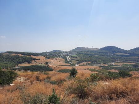 Mersin Toroslar Çelebilide Bn Termal Otel Civarı 5950m2 Tarla