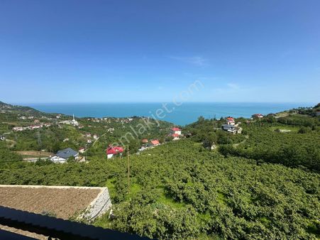 Deniz Doga Manz Villalık 1 Dönüm Arazi