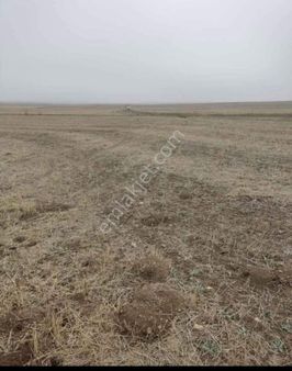 Pn İnşaat Gayrimenkulden Satlık Tarla