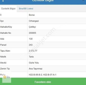 The World Seller'den Çeltikçide Fırsat Tarla