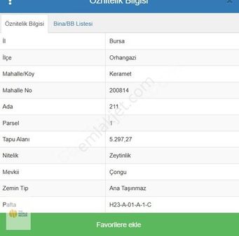 The World Seller'den Keramette Zeytinlik