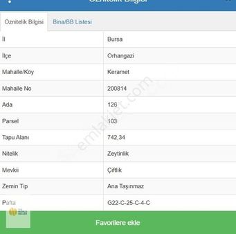 The World Seller'den Göl Manzaralı Zeytinlik