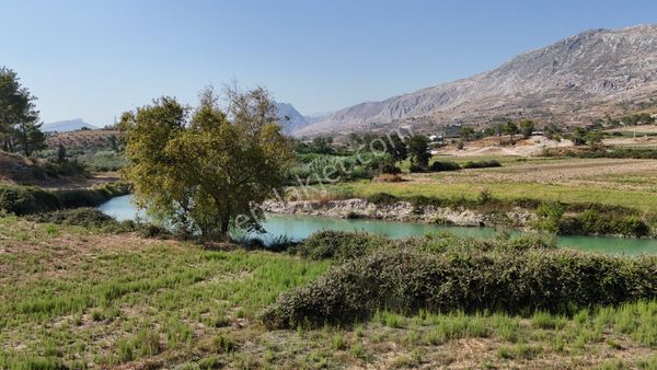 İnfo Gayrimenkulden Karavcada Satılık Tarla