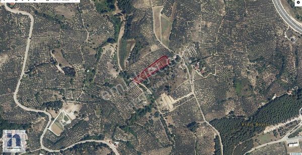 Mudanya Aydınpınar Satılık Müstakil Tapu 6.300 M² Tarla