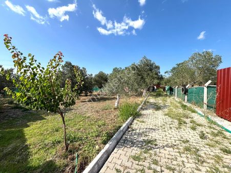 Cadde'den Havran'da Yola Cepheli Kaçmaz Fırsat Hobi Bahçesi