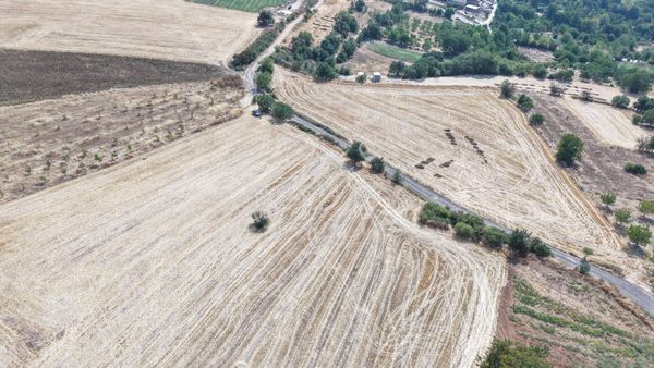 Bursa Yenişehir Günece Mah.yolu Mevcut 2645 M2 Satılık Tarla