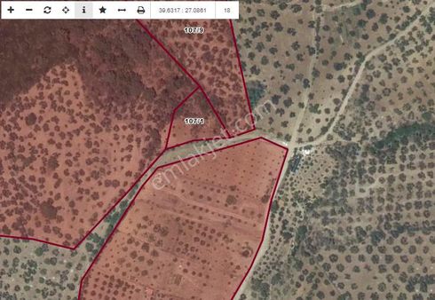 !!!yaylaönünde 1300 M2 Fırsat Zeytinlik!!!