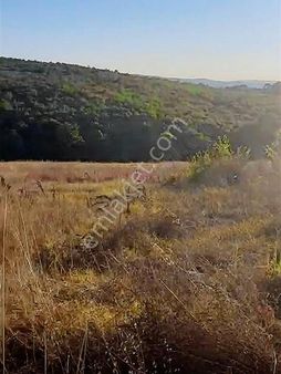 Kadastral Yolu Olan Tarla