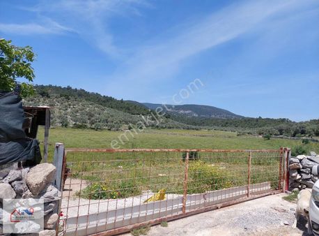 Muğla Milas Kıyıkışlacık Satılık Tarla 20.000m² Gökhan Alkaya'dn