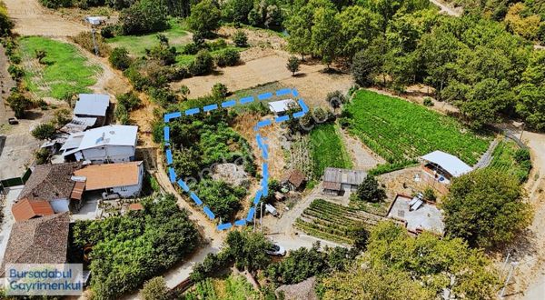 Bursadabul'dan Karacalar Köy İçi 1.622.m2 Arsa Ve Ev