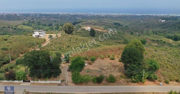 Cb Akademi'den Deniz Ve Doğa Manzaralı Muhteşem Konum Arsa