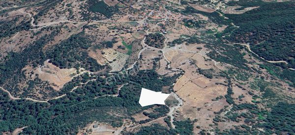 Havran Karalarda Köye Yakın Deniz Manzaralı 5778 M² Fırsat Tarla