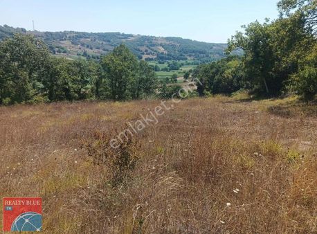 Kocaeli Kandıra Karlı'da 4896 Metre² Yola Cephe Li Satılık Tarla