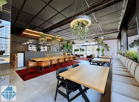 Vadi İstanbul Avm Yanında Suits Collection Vadi 1+0