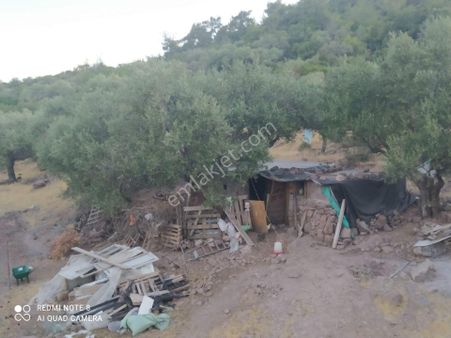 Karayağcılar Mahallesi Köy Evi