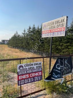 Çözüm Emlak’tan Aydıncık Mahallesin’de 1.000m2 Asfalta Çepe Kiralık Telli Kapılı Arsa