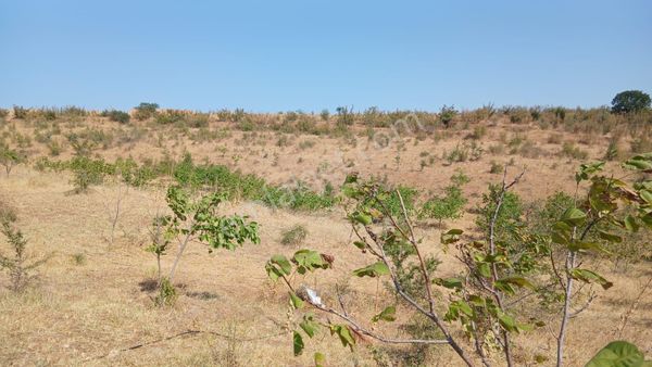 Newcıty Emlaktan Haticehatun'da Satılık 21.300 M2 Tarla