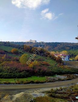 Tramvaya Yakın 1+1sıfır Daire