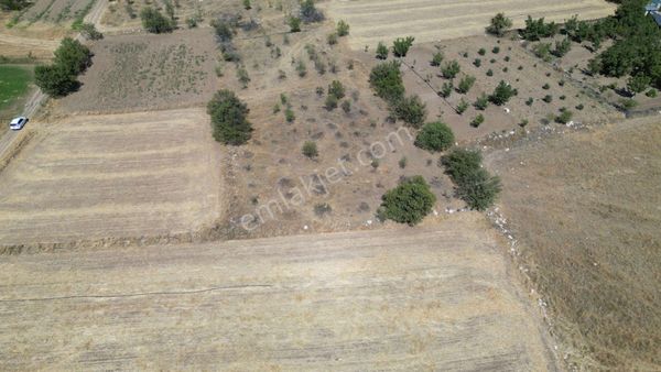 Acil Satılık Burdur Yeşılova Yarışlı 1.300 M² Müstakil Tarla