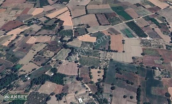 Akbey'den Kayapa'da Tek Tapu Yatırımlık Arazi