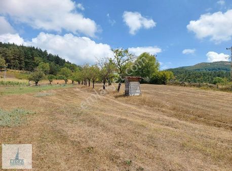 Bursa İznik Elmalıda 679m2 Konut İmarlı Doğa Manzaralı Arsa