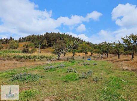 Bursa İznik Elmalıda 654m2 Villa İmarlı Doğa Manzaralı Arsa