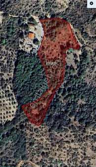 Ayvacık Ahmetçe Köyünde Satılık Bağ